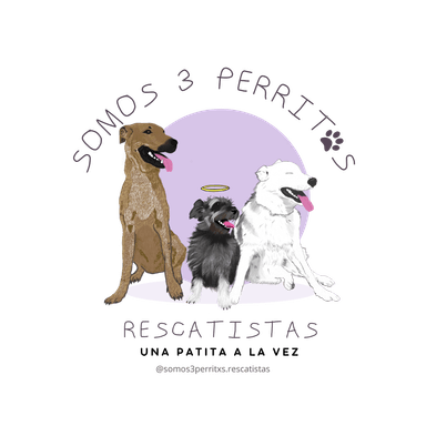 Somos 3 Perritos Rescatistas
